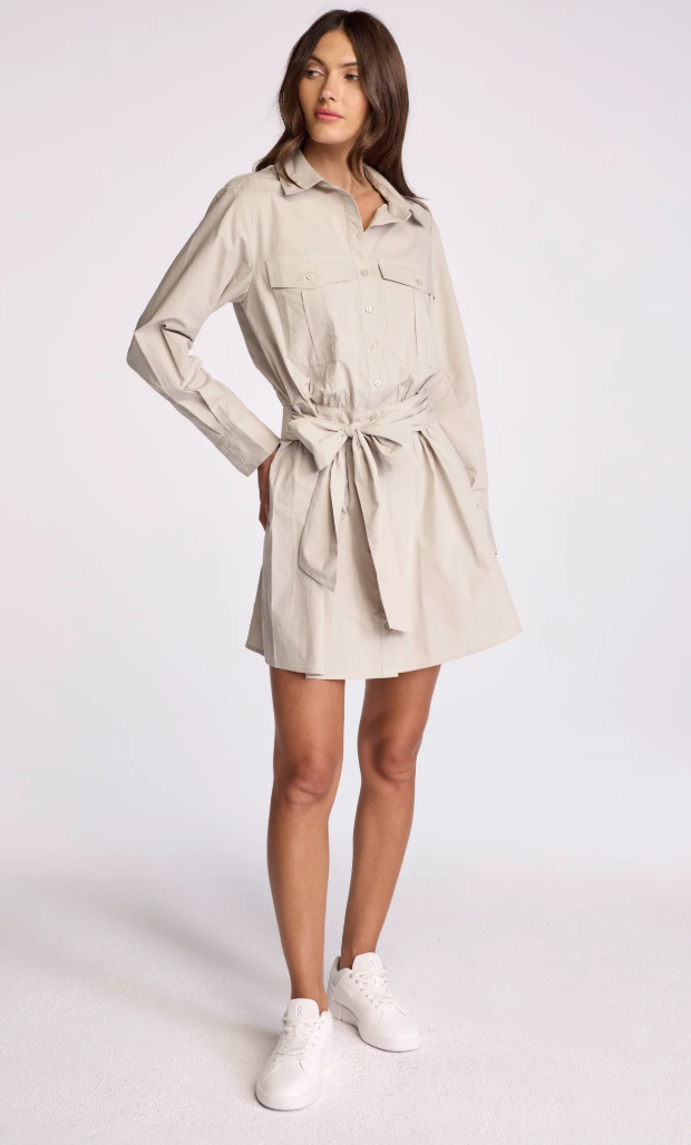 Asterin Dress