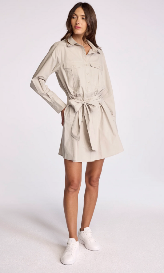 Asterin Dress