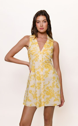 Colt Dress | Fuzzy Floral